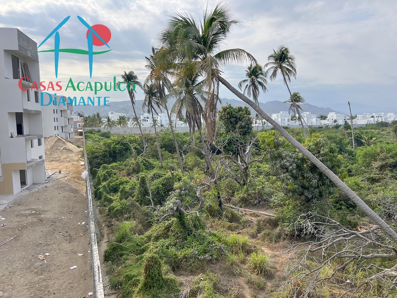 Residencial Palima Caryota 5 - Roof garden 4